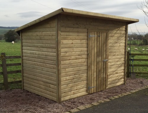 Shed without windows