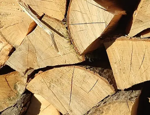 How Much Firewood Do You Really Need for Winter? (And How to Qualify for Free Delivery!)
