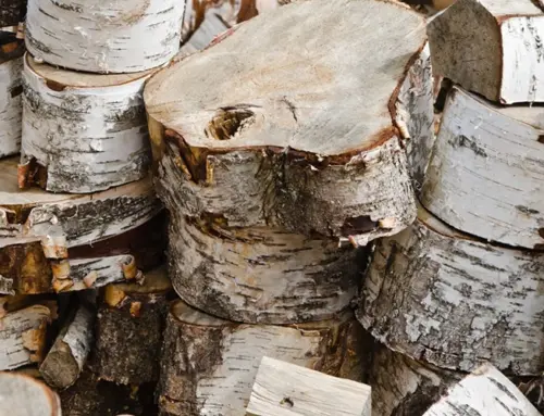 Why Moisture Content Of Logs Matters?