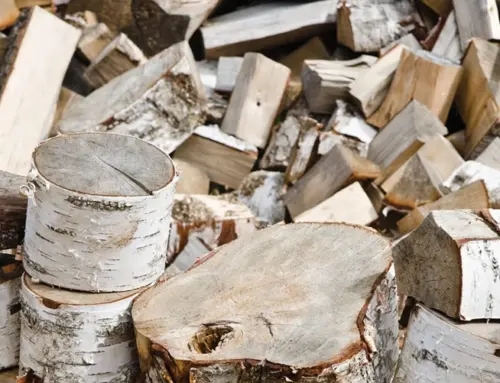 The Complete Guide to Kiln-Dried Logs – From Forest to Fireplace