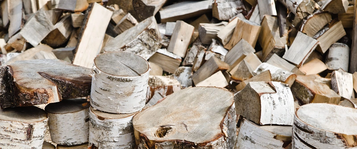 Logs