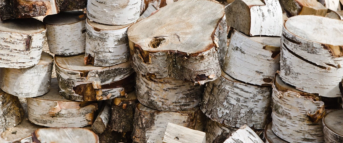 Logs