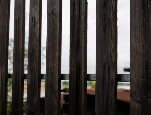 Slatted vs Lattice Top Fence Panels – Choosing a Modern Garden Boundary