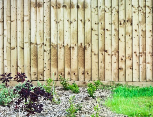 Garden Privacy – How Fencing Improves Your Outdoor Space