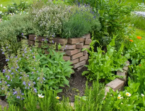 Decorative Fencing Ideas for Modern Gardens