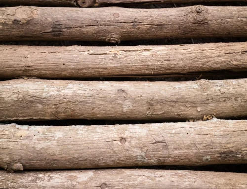 Why Timber Fencing is Still the Most Popular Choice in 2026