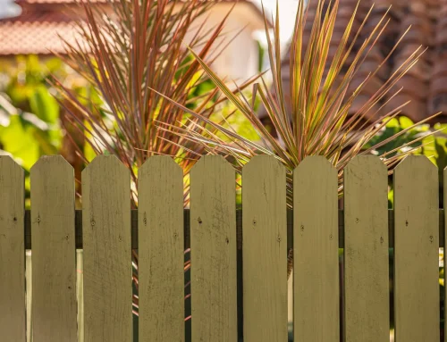 Garden Boundary Solutions for Spring 2026