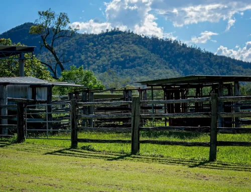 Garden Makeover Ideas Using Timber Fencing