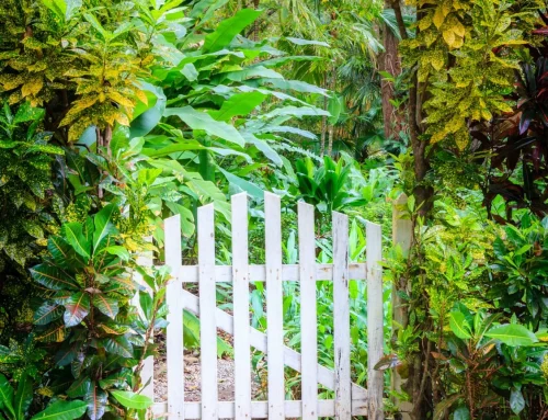 How to Choose the Right Garden Gate for Your Home
