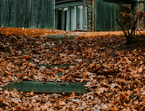 Leaves Against Fence Panels and Why Autumn Clearing Matters