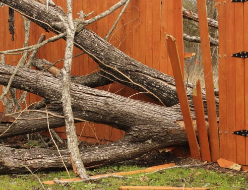 Storm Boelo Fence Damage – Replacing Blown Down Panels and Posts